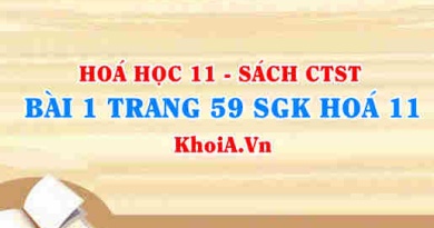 Bài 1 trang 59 SGK Hóa 11 Chân trời sáng tạo